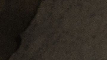 Hay signos que prefieren los encuentros casuales.