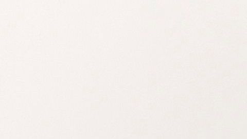 mayweather agrede a fan