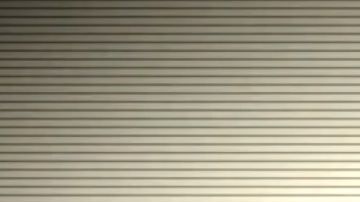 No hay cura para el virus del Nilo Occidental.