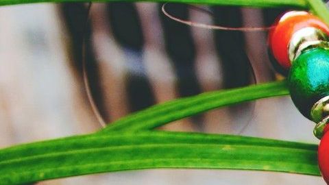 Cualquier objeto puede ser tu amuleto de la suerte.