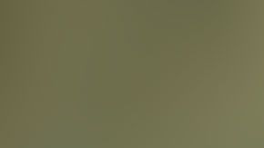 Retrato de Napoleón Bonaparte Broward, exgobernador de Florida.