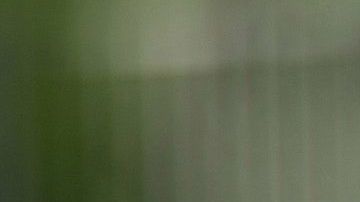 Descubre el significado de soñar con serpientes.