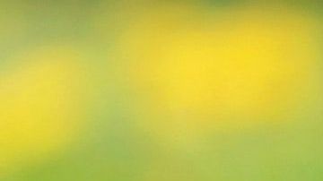 La dueña del local logró ayudar al animalito para que naciera.