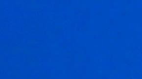 Manuel Negrete, ex jugador de los Pumas de la UNAM.