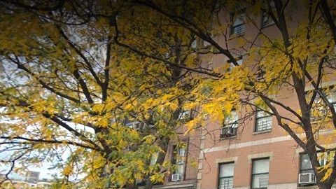 154 W. 84th Street, UWS