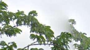 Vista exterior de la tienda "One Food Stop Market" en Sweetwater.