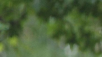 El inicio del año escolar y los tiroteos en EEUU traen miedo a las familias.