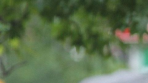 El inicio del año escolar y los tiroteos en EEUU traen miedo a las familias.