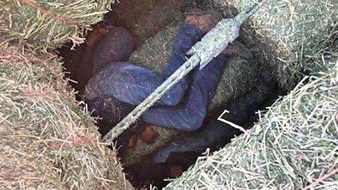 indocumentados pastura