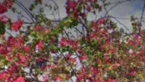 Imagen de la entrada de "El Patio" en el popular barrio de Wynwood, en Miami.