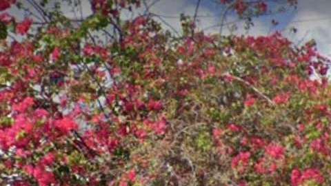 Imagen de la entrada de "El Patio" en el popular barrio de Wynwood, en Miami.