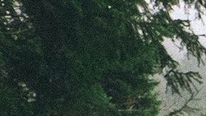 El joven se lanzó a un tren.