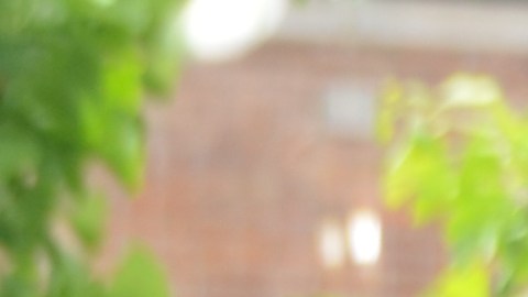 Crystal Vargas, propietaria de Crystal´s Unisex Salon en el vecindario de Back of The Yards, atiende con mascarilla a su clientela. (Belhú Sanabria/La Raza)