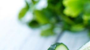 pepino