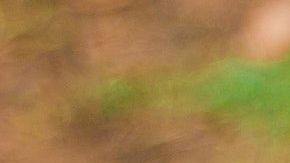 Todos los seres humanos poseen una llama violeta.