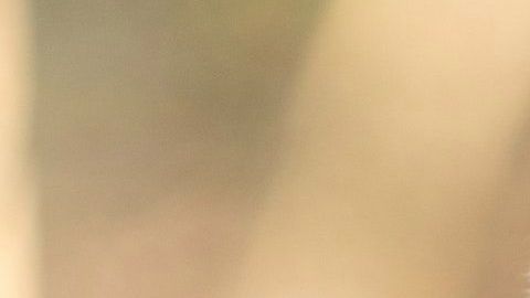 Según los vecinos, el animal se volvió agresivo tras la muerte de su dueño que le daba licor para beber.