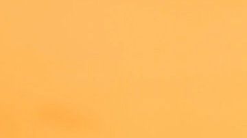 Todos tenemos un alma gemela del verdadero amor.