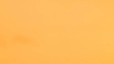 Todos tenemos un alma gemela del verdadero amor.