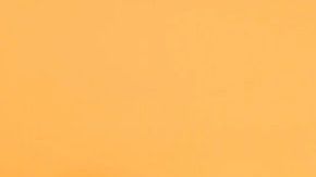 Todos tenemos un alma gemela del verdadero amor.