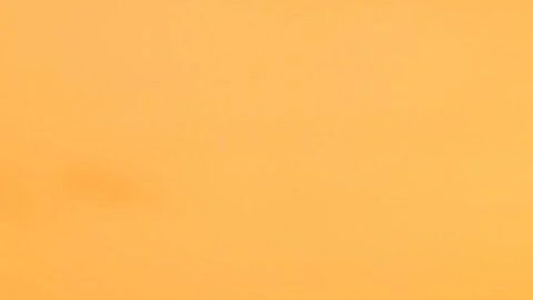 Todos tenemos un alma gemela del verdadero amor.