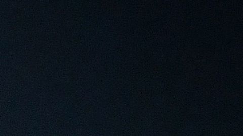 El bosnio Mirelam Pjanic.