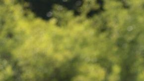 Las protestas contra los policías siguen en Jalisco.