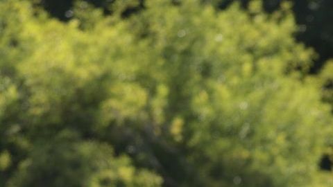 Las protestas contra los policías siguen en Jalisco.