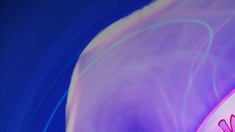 pulmones-kalhh en Pixabay