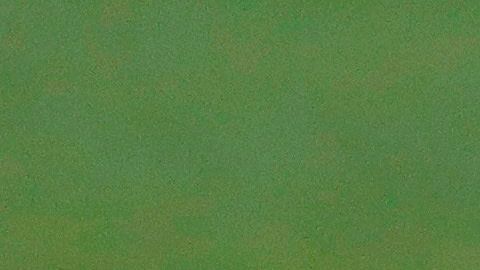 Lionel Messi celebra el gol del Rakitic que salvó al Barça.