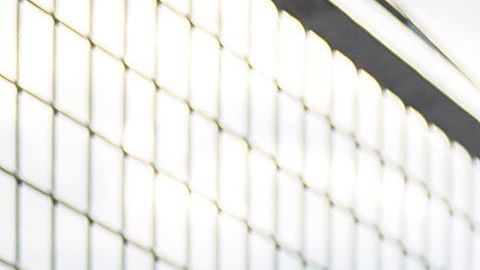 renee gracie onlyfans