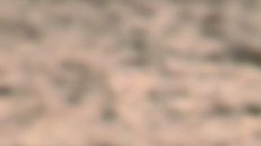 Es la segunda travesía transatlántica en velero del argentino.