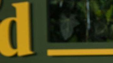 Salma Hayek luce radiante.