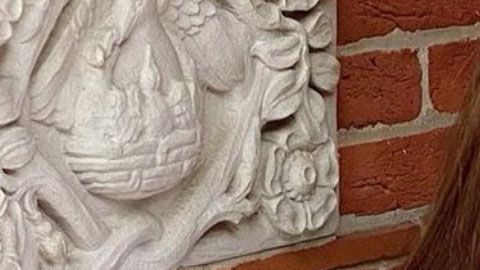 Salma Hayek por Vanessa Guillén