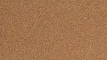 Sean Salas, presidente y cofundador de Camino Financial. /Cortesía Caminof Financial