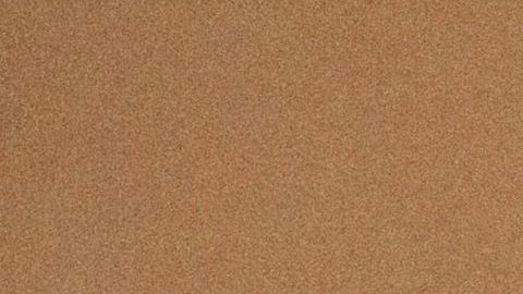 Sean Salas, presidente y cofundador de Camino Financial. /Cortesía Caminof Financial