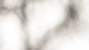 La novia le dijo ser una mujer "poco estable".