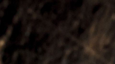 La comida enlatada se conserva en buen estado durante mucho tiempo.