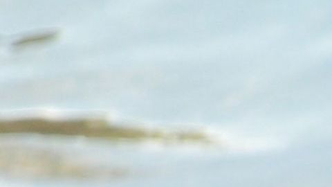 Los vecinos nada pudieron hacer para salvarle la vida.