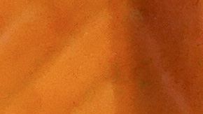 El problema es que violó normas impuestas en su país por el coronavirus.