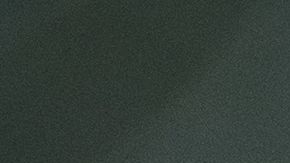 El cachorro de león tuvo que ser operado para salvarle la vida.