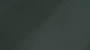 El cachorro de león tuvo que ser operado para salvarle la vida.