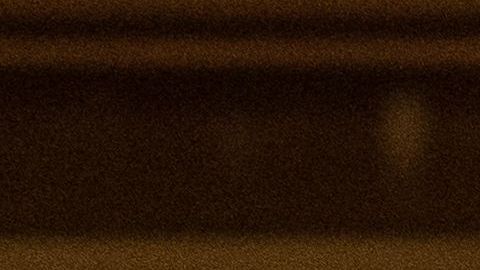 Además, Quaker Oats donará $5 millones en la lucha contra el racismo.