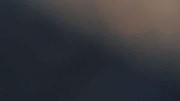 El religioso pasó por la casa donde vivía el animal cuando le ladró.