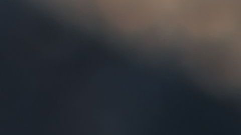 El religioso pasó por la casa donde vivía el animal cuando le ladró.