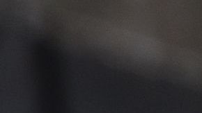 El animal acompañó a su dueño hasta el puente donde se arrojó.