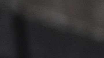 El animal acompañó a su dueño hasta el puente donde se arrojó.