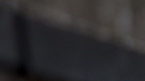 El animal acompañó a su dueño hasta el puente donde se arrojó.