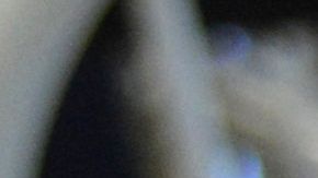 Jamás pensaron el estado en el que encontrarían la masa.