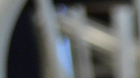 Jamás pensaron el estado en el que encontrarían la masa.