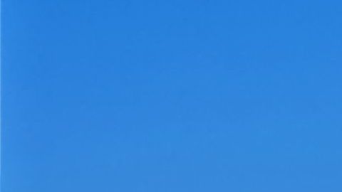 Los cruceros de Carnival estarán disponibles como hospitales.